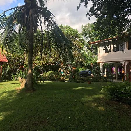 Casa Ballena Eco Hostel Uvita Buitenkant foto