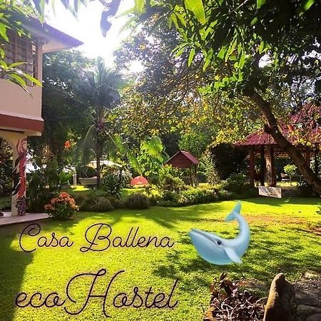 Casa Ballena Eco Hostel Uvita Buitenkant foto