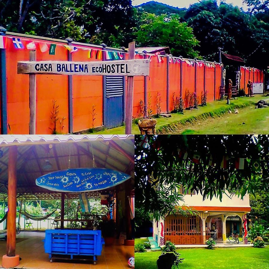 Casa Ballena Eco Hostel Uvita Buitenkant foto