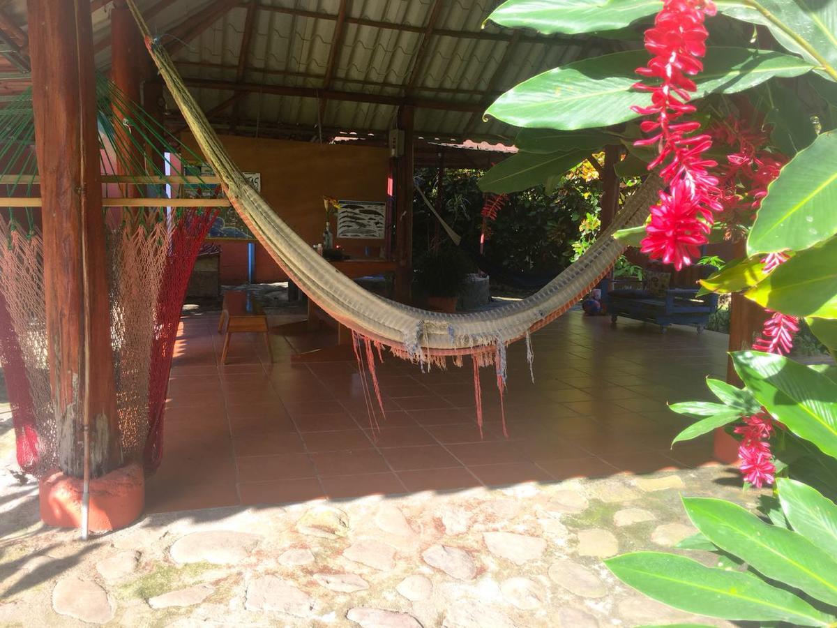 Casa Ballena Eco Hostel Uvita Buitenkant foto