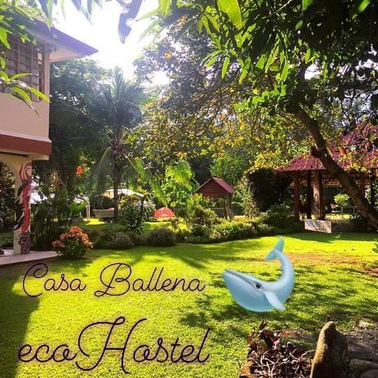 Casa Ballena Eco Hostel Uvita Buitenkant foto